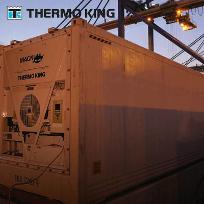 MP4000 THERMO KING コンテナ冷蔵庫 マグヌムプラス
