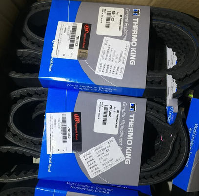 エンジンベルト 781352 サーモキング部品 TS 300用